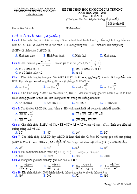 Đề thi HSG Toán 11 năm 2018 – 2019 trường Nguyễn Đức Cảnh – Thái Bình